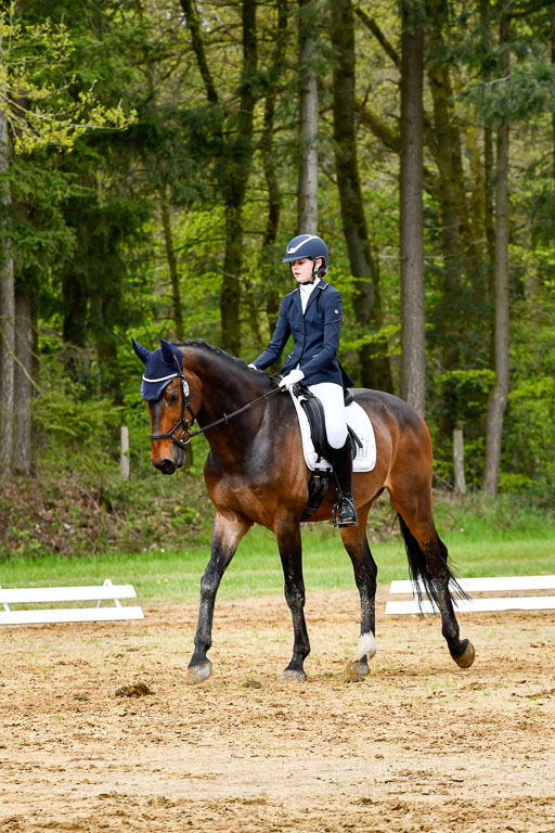 Quali für Goldene Schärpe Ponys in Berge   6+7.5.23 | Stine Sniders - Jeronimo_01 
