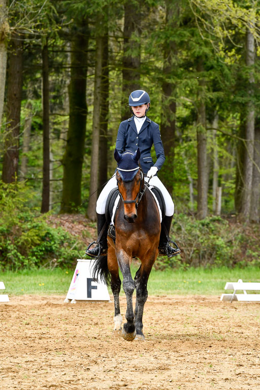 Quali für Goldene Schärpe Ponys in Berge   6+7.5.23 | Stine Sniders - Jeronimo_02 