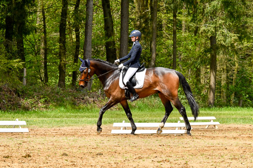 Quali für Goldene Schärpe Ponys in Berge   6+7.5.23 | Stine Sniders - Jeronimo_04 