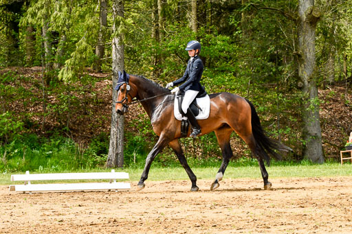 Dressur-Springen-Gelände