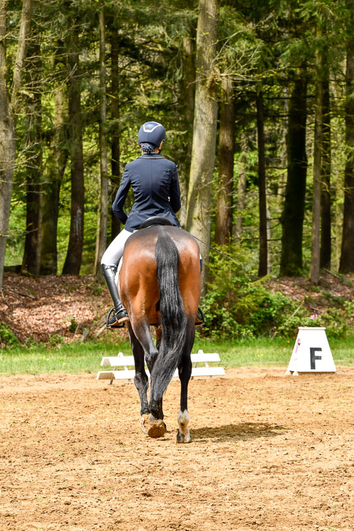 Quali für Goldene Schärpe Ponys in Berge   6+7.5.23 | Stine Sniders - Jeronimo_06 