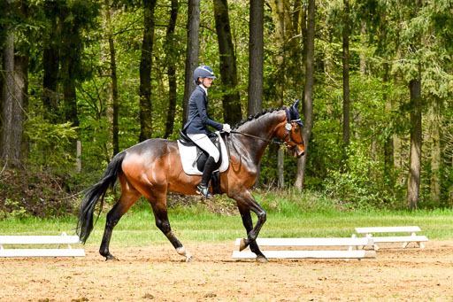 Quali für Goldene Schärpe Ponys in Berge   6+7.5.23 | Stine Sniders - Jeronimo_07 