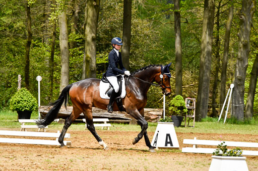 Quali für Goldene Schärpe Ponys in Berge   6+7.5.23 | Stine Sniders - Jeronimo_08 