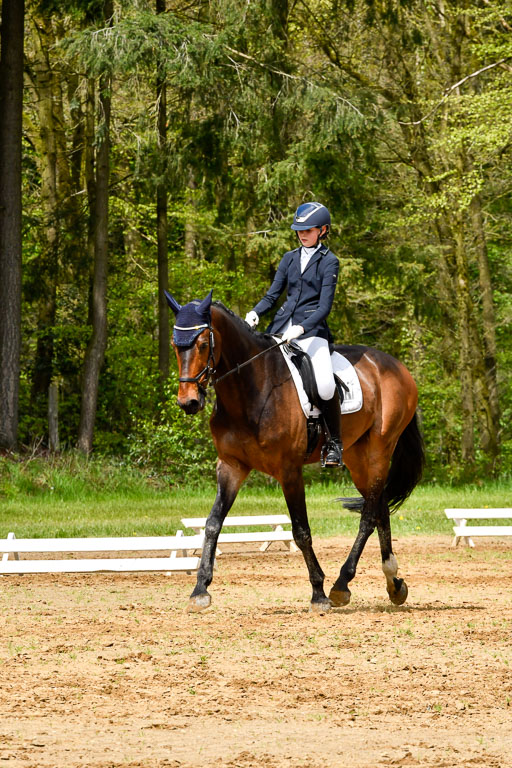 Quali für Goldene Schärpe Ponys in Berge   6+7.5.23 | Stine Sniders - Jeronimo_09 