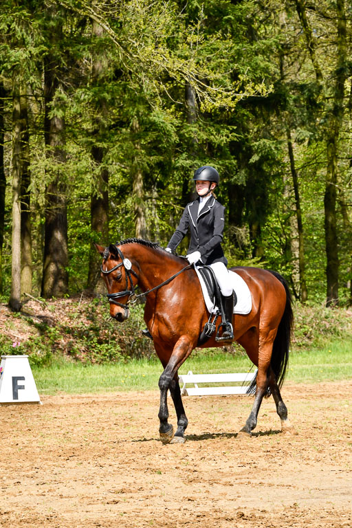 Quali für Goldene Schärpe Ponys in Berge   6+7.5.23 | Tomke Päben - C'est Mia_01 
