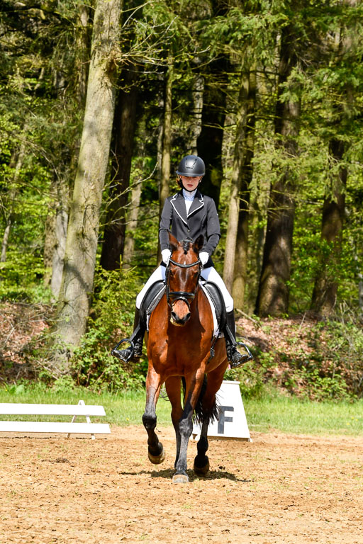 Quali für Goldene Schärpe Ponys in Berge   6+7.5.23 | Tomke Päben - C'est Mia_02 