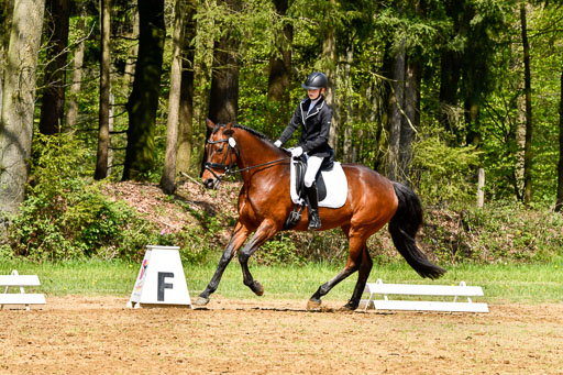 Quali für Goldene Schärpe Ponys in Berge   6+7.5.23 | Tomke Päben - C'est Mia_05 