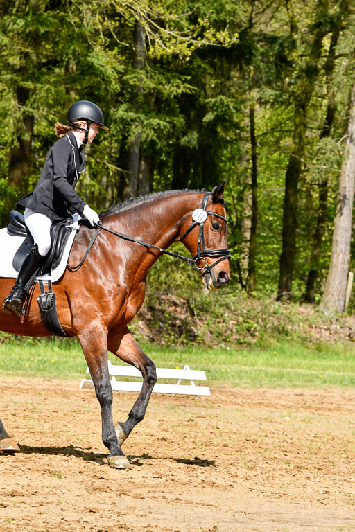 Quali für Goldene Schärpe Ponys in Berge   6+7.5.23 | Tomke Päben - C'est Mia_06 