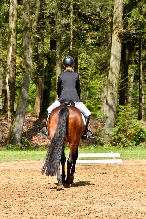 Quali für Goldene Schärpe Ponys in Berge   6+7.5.23 | Tomke Päben - C'est Mia_07 