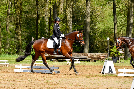 Quali für Goldene Schärpe Ponys in Berge   6+7.5.23 | Tomke Päben - C'est Mia_08 