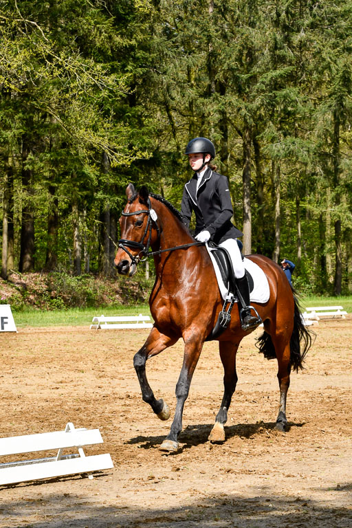 Quali für Goldene Schärpe Ponys in Berge   6+7.5.23 | Tomke Päben - C'est Mia_11 