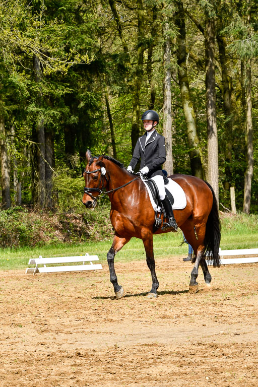 Quali für Goldene Schärpe Ponys in Berge   6+7.5.23 | Tomke Päben - C'est Mia_12 