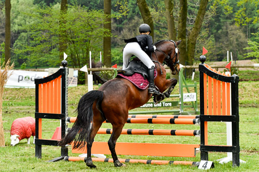 Quali für Goldene Schärpe Ponys in Berge   6+7.5.23 | Tomke Päben - C'est Mia_18 