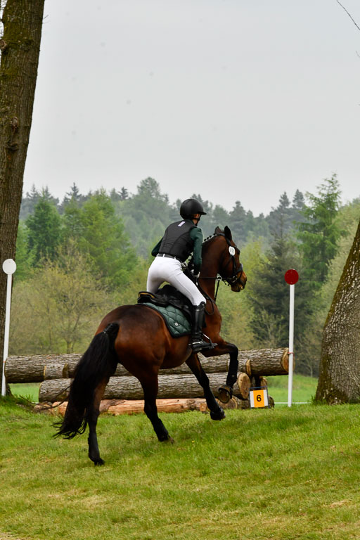 Quali für Goldene Schärpe Ponys in Berge   6+7.5.23 | Tomke Päben - C'est Mia_34 