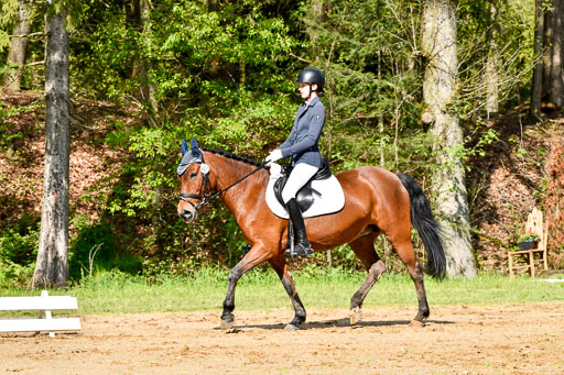 Quali für Goldene Schärpe Ponys in Berge   6+7.5.23 | _UGO3890 