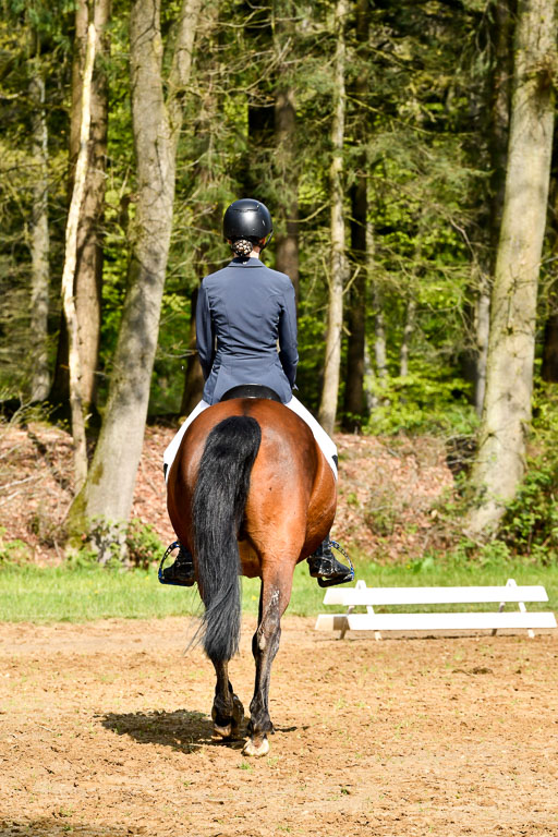 Quali für Goldene Schärpe Ponys in Berge   6+7.5.23 | _UGO3892 