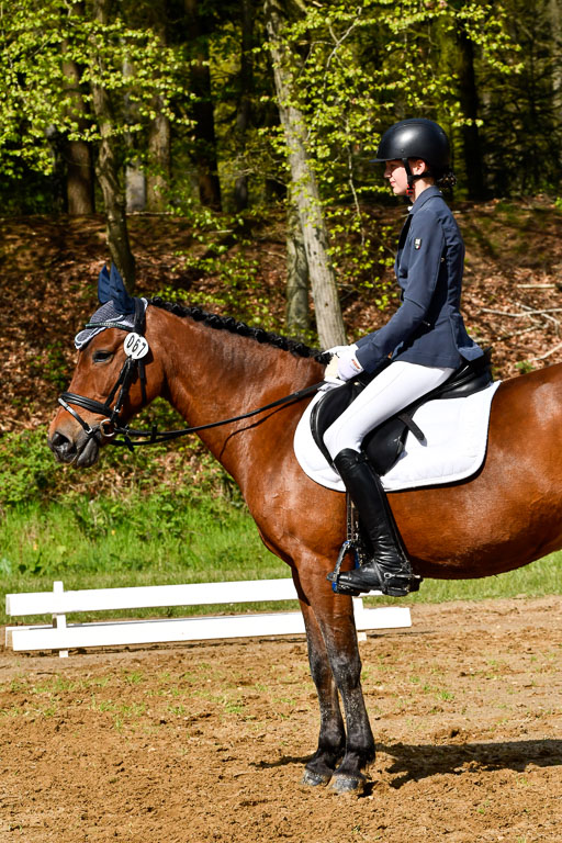 Quali für Goldene Schärpe Ponys in Berge   6+7.5.23 | _UGO3905 