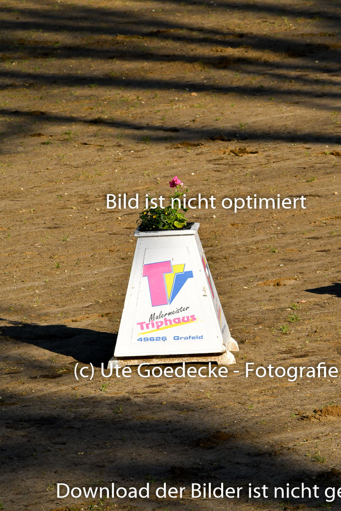 Quali für Goldene Schärpe Ponys in Berge 6+7.5.23 | Impressionen