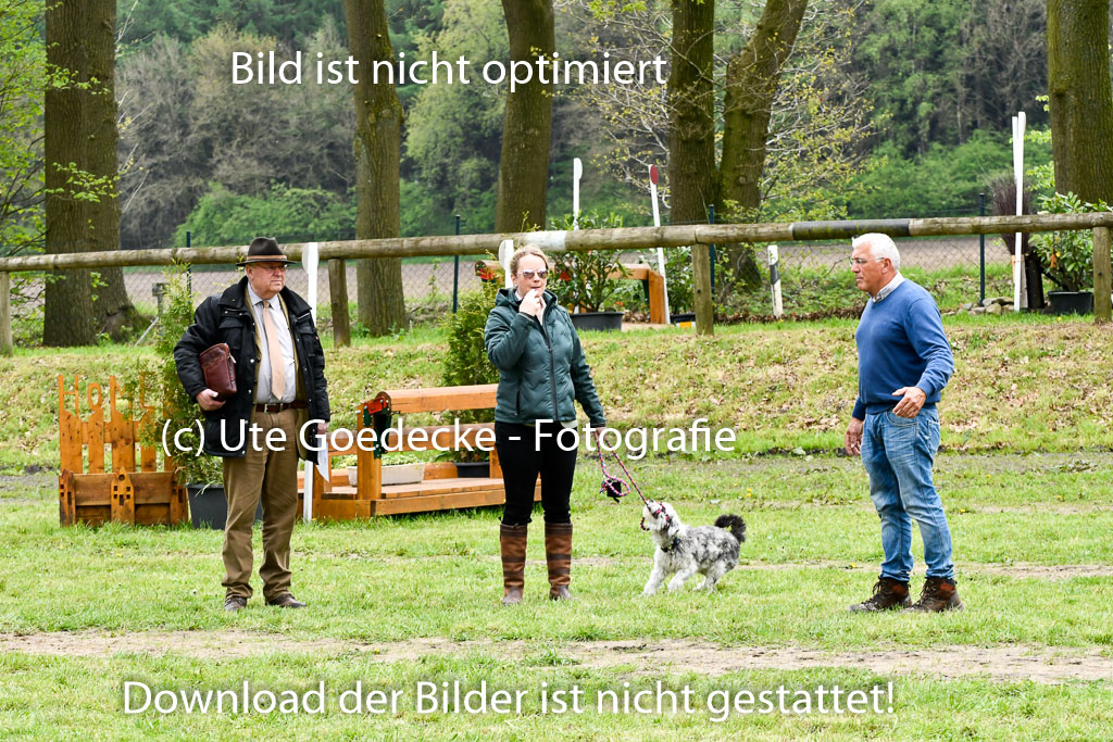 Quali für Goldene Schärpe Ponys in Berge 6+7.5.23 | Impressionen_12