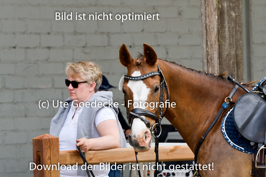 Quali für Goldene Schärpe Ponys in Berge 6+7.5.23 | Impressionen_18