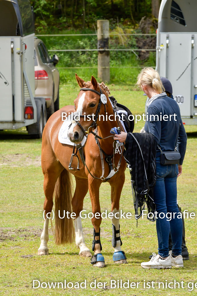 Quali für Goldene Schärpe Ponys in Berge 6+7.5.23 | Impressionen_22