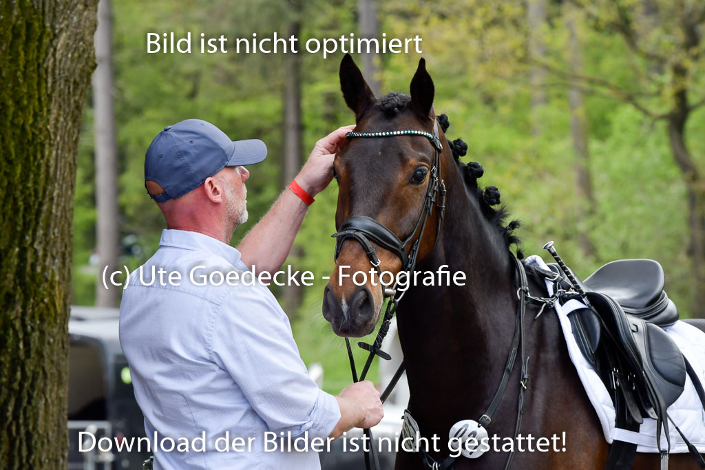 Quali für Goldene Schärpe Ponys in Berge 6+7.5.23 | Impressionen_25