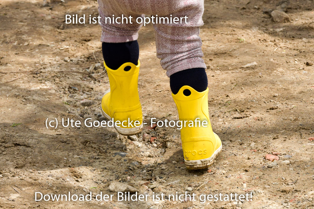 Quali für Goldene Schärpe Ponys in Berge 6+7.5.23 | Impressionen_28