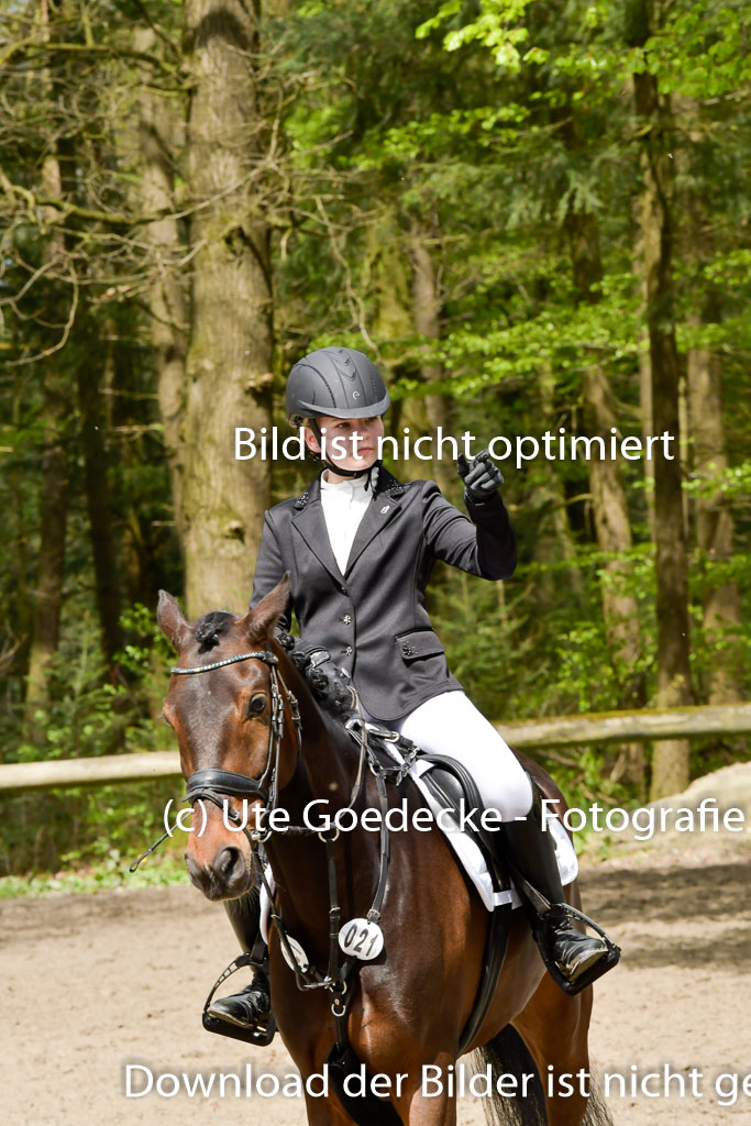 Quali für Goldene Schärpe Ponys in Berge 6+7.5.23 | Impressionen_29