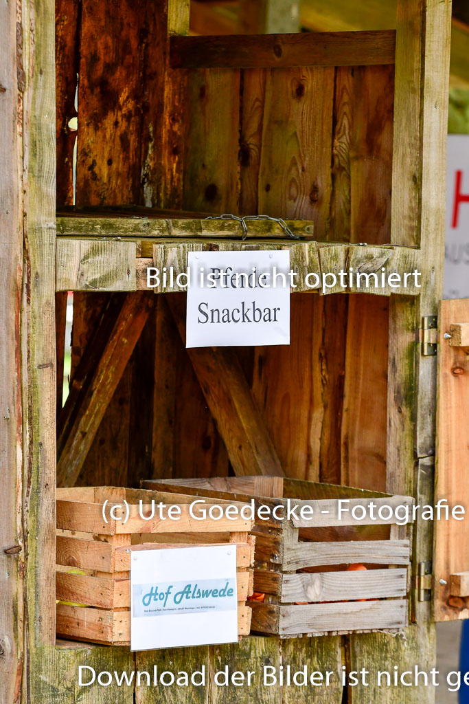 Quali für Goldene Schärpe Ponys in Berge 6+7.5.23 | Impressionen_31