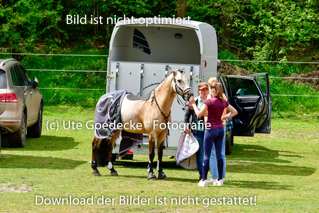 Quali für Goldene Schärpe Ponys in Berge 6+7.5.23 | Impressionen_34
