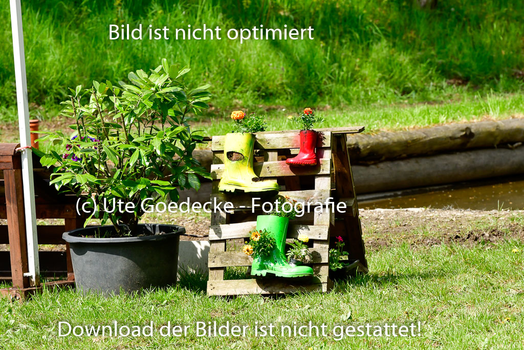 Quali für Goldene Schärpe Ponys in Berge 6+7.5.23 | Impressionen_41