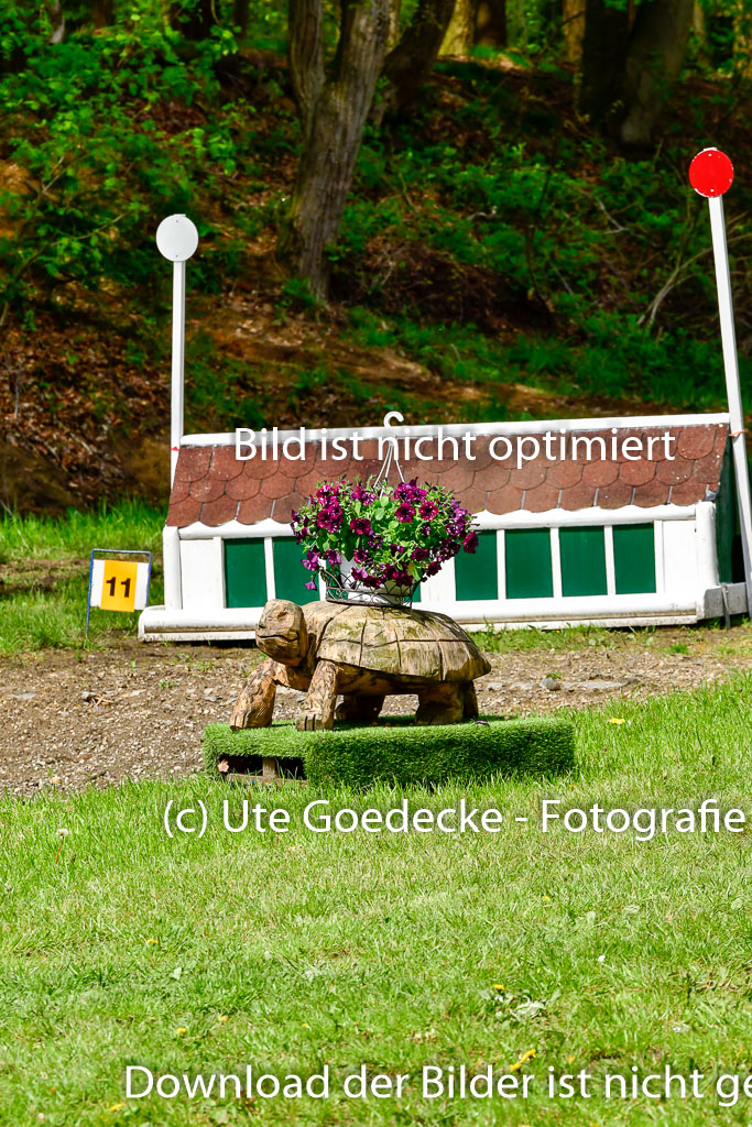 Quali für Goldene Schärpe Ponys in Berge 6+7.5.23 | Impressionen_42