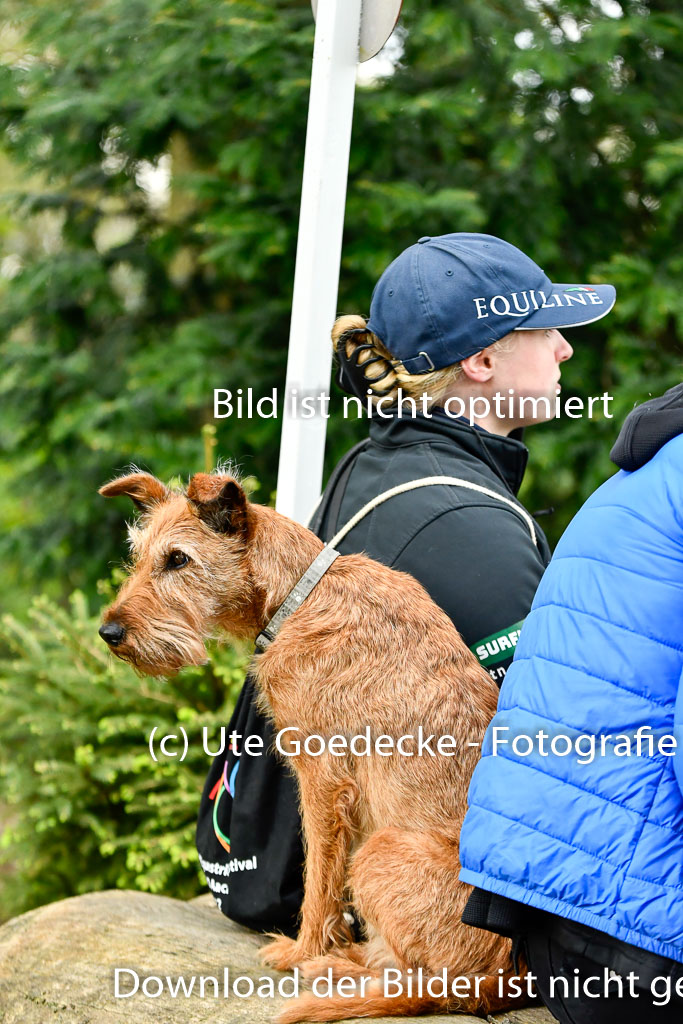 Quali für Goldene Schärpe Ponys in Berge 6+7.5.23 | Impressionen_53