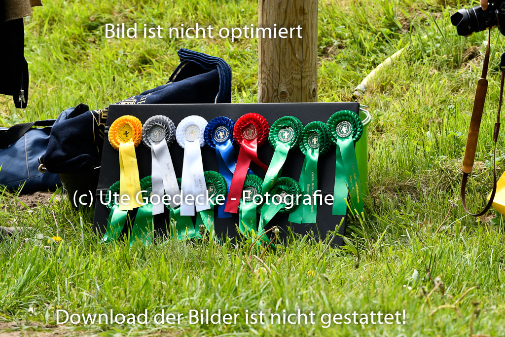 Quali für Goldene Schärpe Ponys in Berge 6+7.5.23 | Impressionen_63