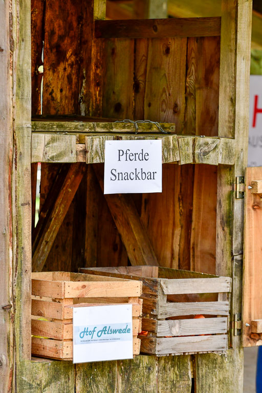 Quali für Goldene Schärpe Ponys in Berge   6+7.5.23 | Impressionen_31 