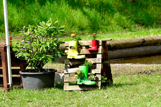 Quali für Goldene Schärpe Ponys in Berge   6+7.5.23 | Impressionen_41 
