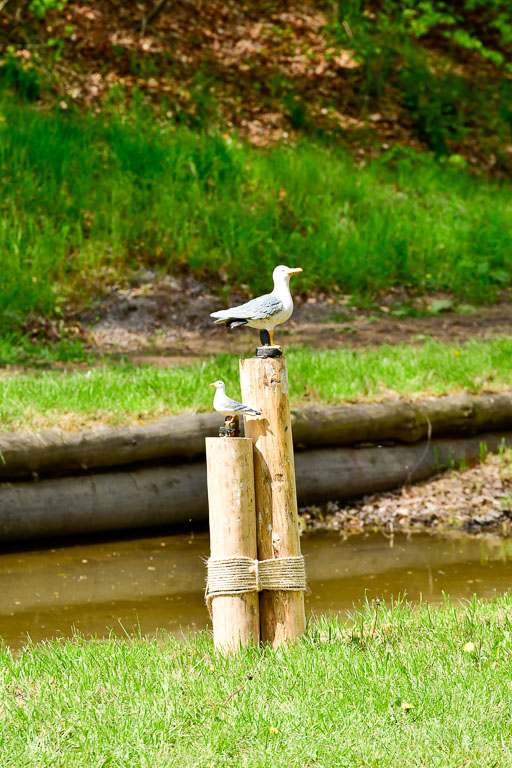 Quali für Goldene Schärpe Ponys in Berge   6+7.5.23 | Impressionen_43 