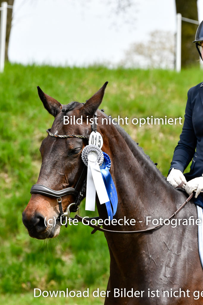 Quali für Goldene Schärpe Ponys in Berge   6+7.5.23 | 07052023 - Siegerehrungen_042 