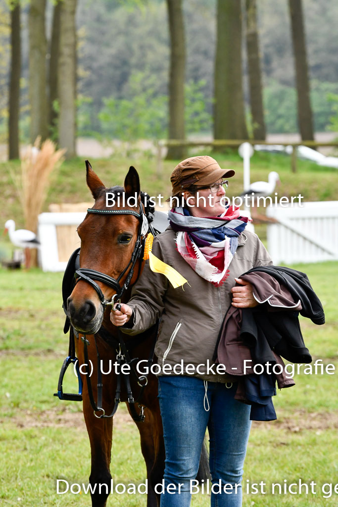 Quali für Goldene Schärpe Ponys in Berge   6+7.5.23 | 07052023 - Siegerehrungen_106 