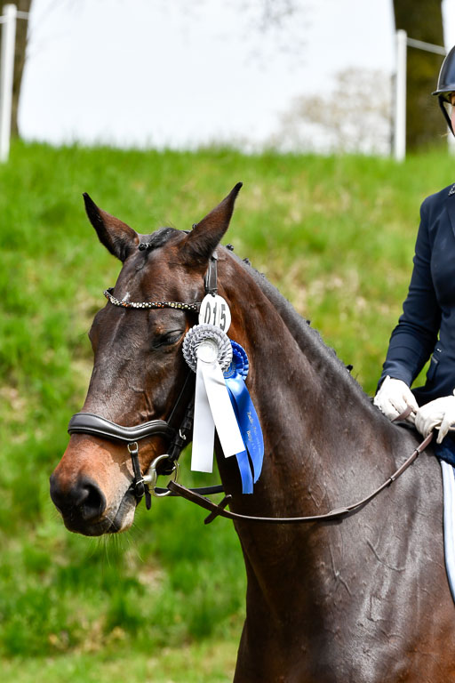 Quali für Goldene Schärpe Ponys in Berge   6+7.5.23 | 07052023 - Siegerehrungen_042 