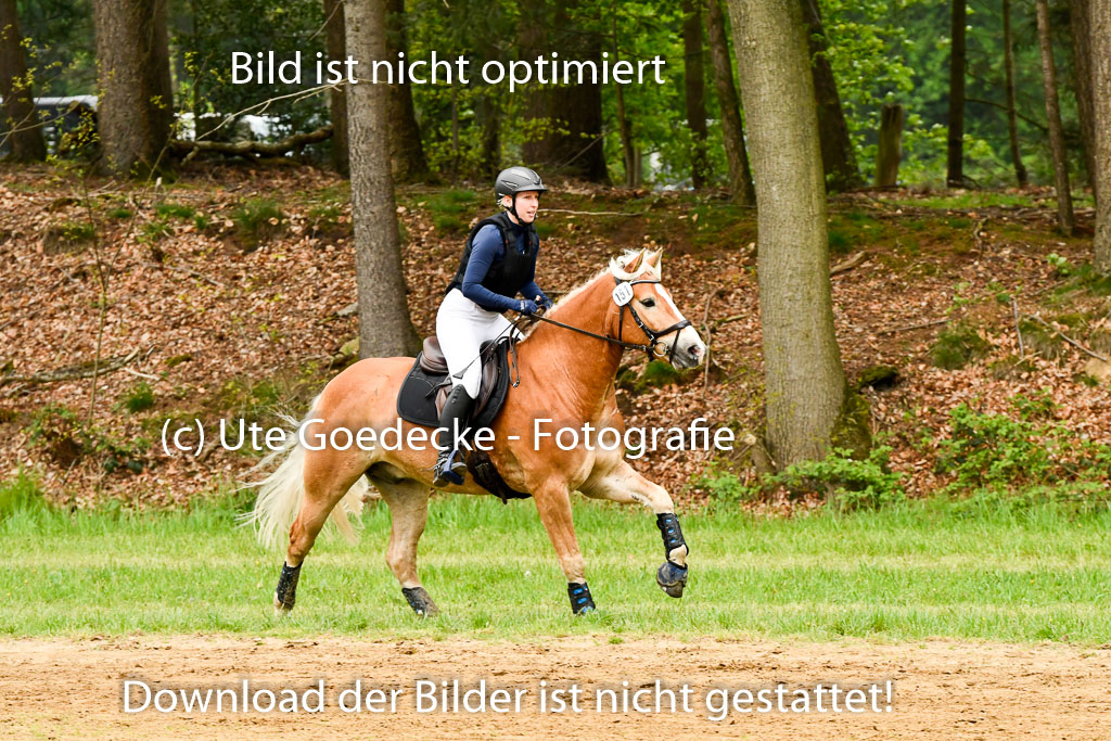Berge   6+7.5.23 | Stil Gelände E_238 
