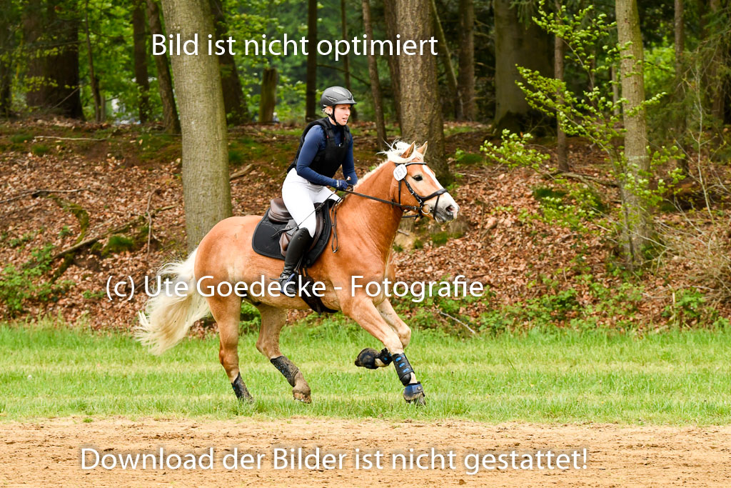 Berge   6+7.5.23 | Stil Gelände E_239 