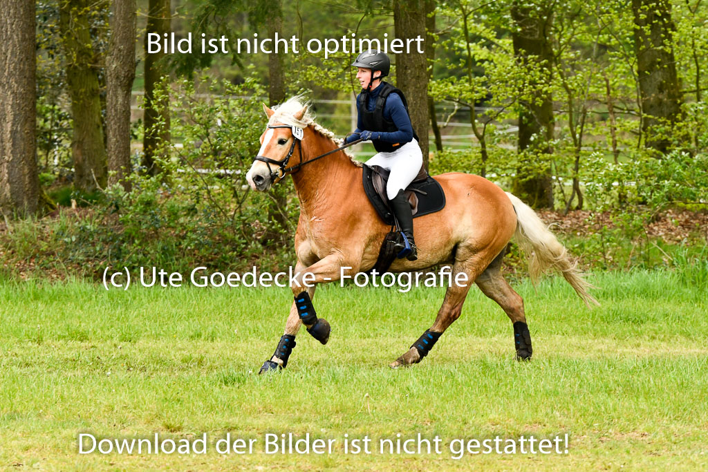 Berge   6+7.5.23 | Stil Gelände E_248 
