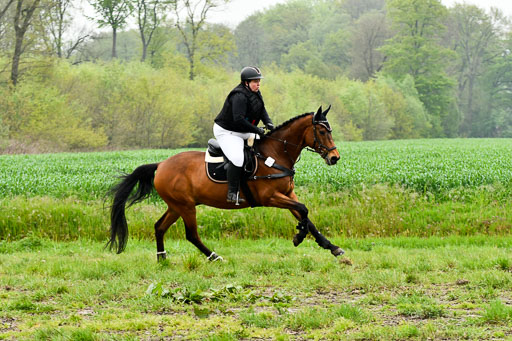 Berge   6+7.5.23 | Stil Gelände E_065 