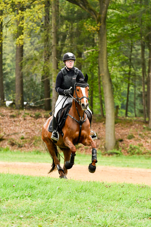 Berge   6+7.5.23 | Stil Gelände E_129 