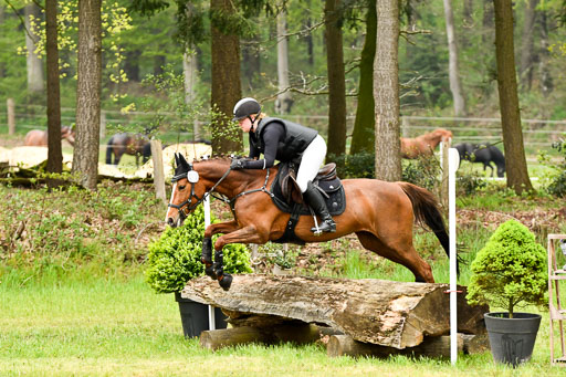 Berge   6+7.5.23 | Stil Gelände E_132 