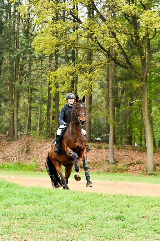 Berge   6+7.5.23 | Stil Gelände E_176 