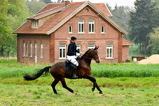 Berge   6+7.5.23 | Stil Gelände E_218 