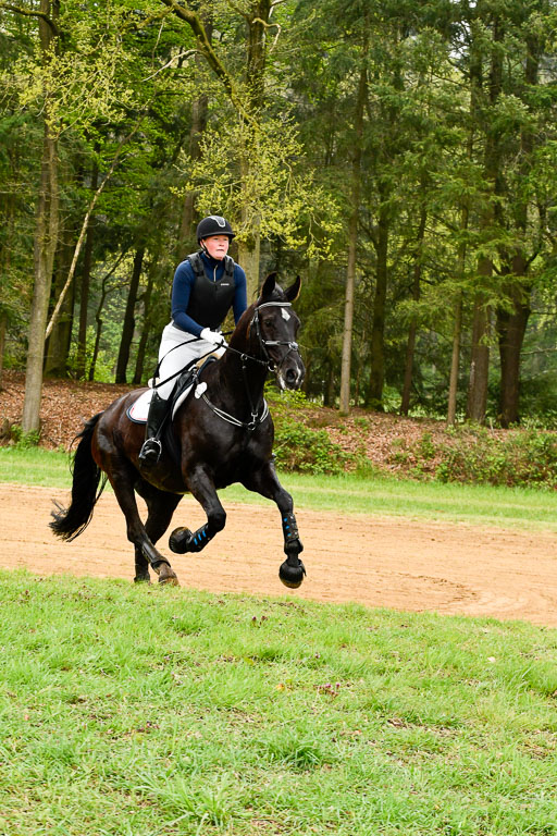 Berge   6+7.5.23 | Stil Gelände E_232 