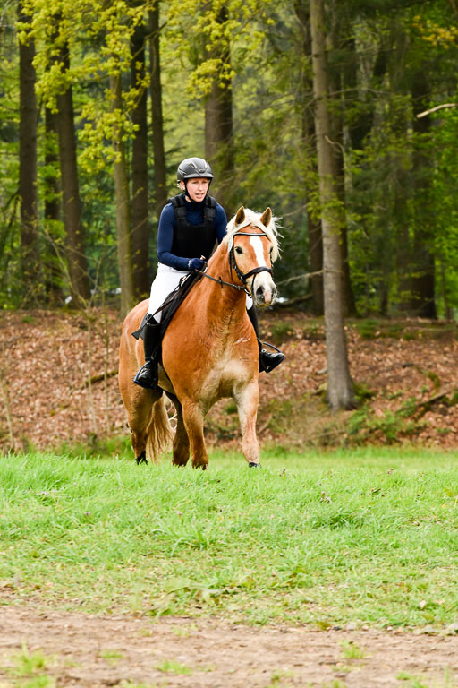 Berge   6+7.5.23 | Stil Gelände E_244 